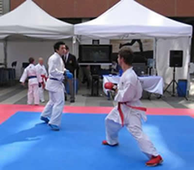 Leon Romary (blue) and Riste Mladanovski (red) engage in a karate bout at the Karate Action Replay System demonstration, QV Square, Melbourne during the Commonwealth Games