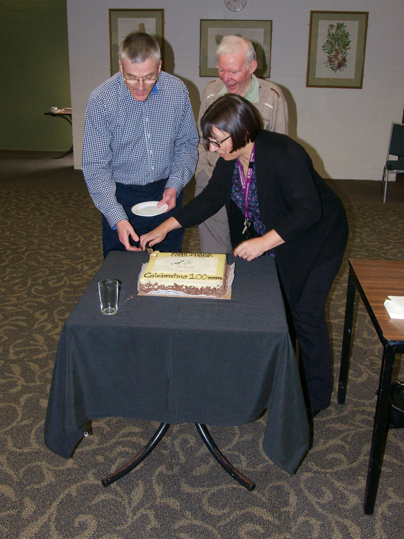 Cutting the cake